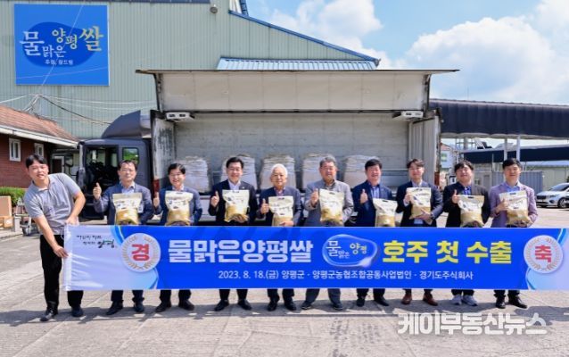 쌀수출