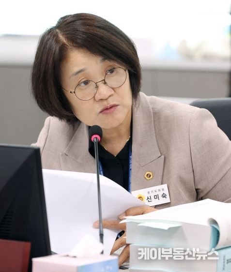 신미숙 경기도의회 의원