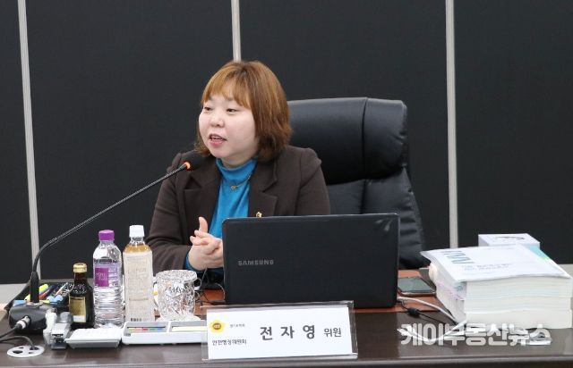 전자영 경기도의회 의원(더불어민주당, 용인4, 안전행정위원회)
