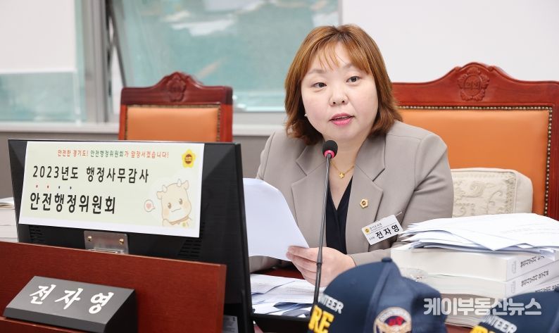 전자영 경기도의회 의원(더불어민주당, 용인4, 안전행정위원회)