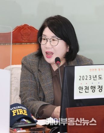 이서영 경기도의회 의원(국민의힘, 비례, 안전행정위원회)