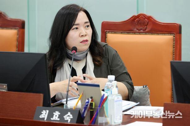 최효숙 의원(더불어민주당, 비례)