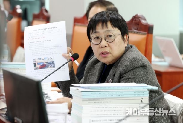 조미자 경기도의회 의원(더불어민주당, 남양주3, 문화체육관광위원회)