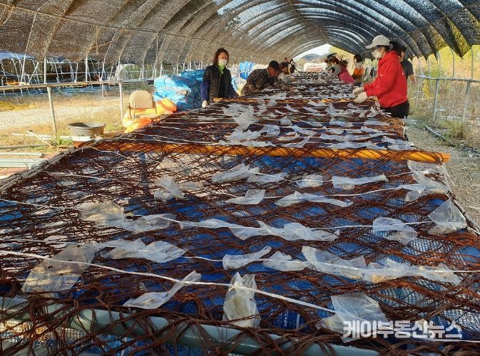 어업활동지원