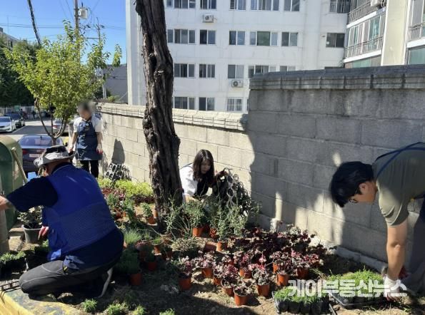 수원시 권선구 세류3동, 가을맞이 손바닥정원 새단장