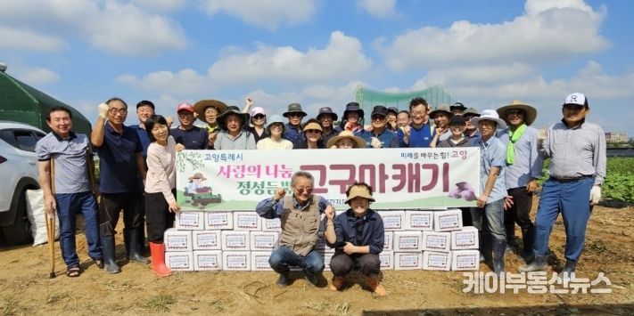 고양시 고봉동 주민자치회, ‘사랑의 나눔 고구마 캐기’ 행사 진행