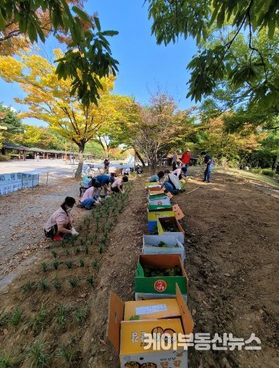 고양시 마두2동 주민자치회, 야생화 심기 사업 성료