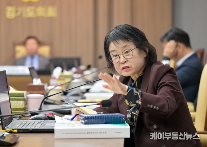 경기도의회 김미리 의원(개혁신당, 남양주2)