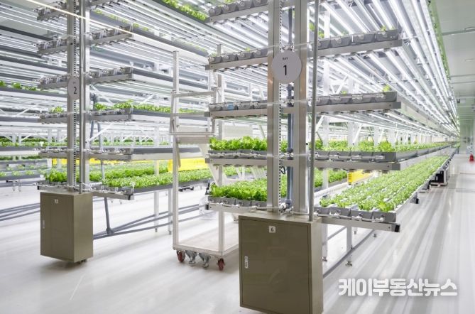 용인특례시가 경기도 주관 '사회혁신형 스마트팜 시범사업' 공모에 선정됐다