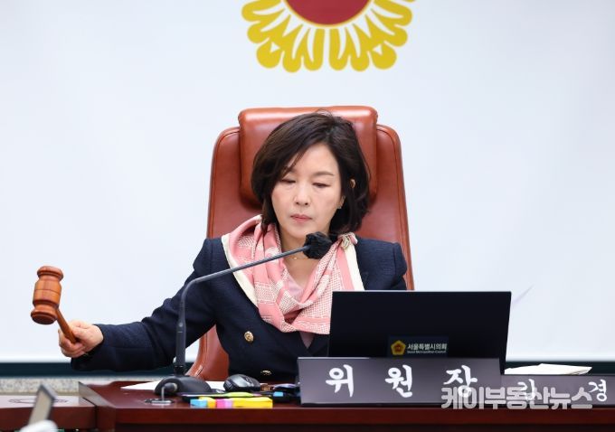 서울시의회 문화체육관광위원회 김경 위원장
