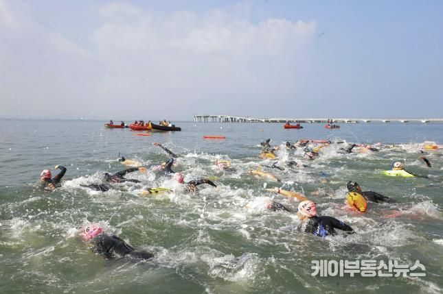 지난해 9월 거북섬에서 열린 제 13회 전국생활체육 장거리 핀수영대회