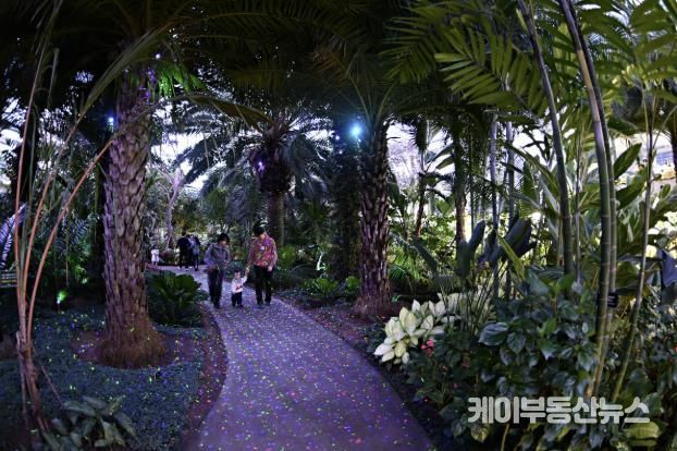 부천호수식물원 수피아에서 시민들이 야간 개장을 즐기고 있다.