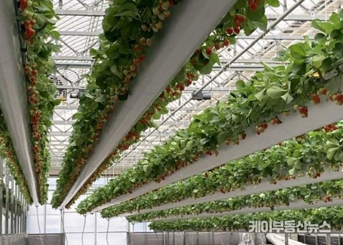 이천시, 2025년 스마트농업관 경영실습 스마트팜…임차인 모집