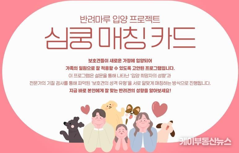 심쿵 매칭 카드