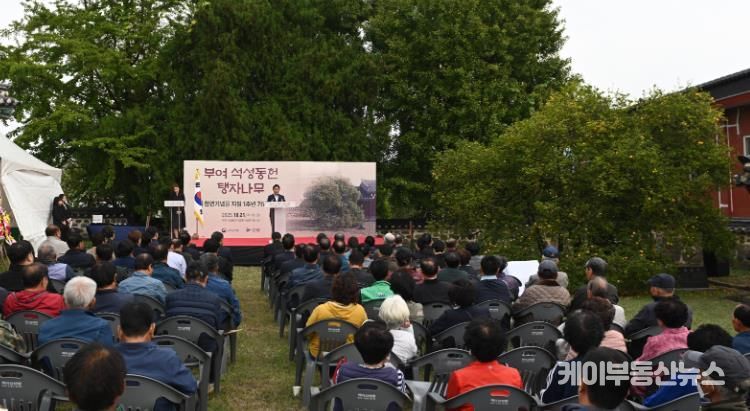 부여 석성동헌 탱자나무 천연기념물 지정 1주년 기념행사