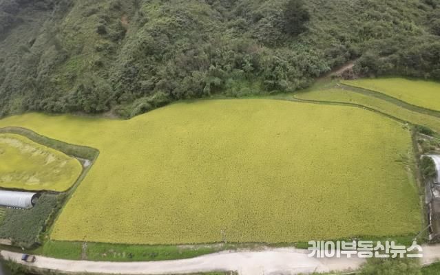 경기도 남양주시 조안면 시우리 222-3번지 일원에 있는 「구리시 관외 농지 활용 벼농사 체험장」 전경