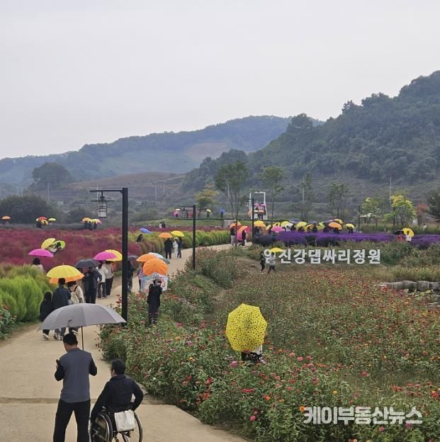 연천군 중면 임진강 댑싸리정원 지역 관광명소로 우뚝!