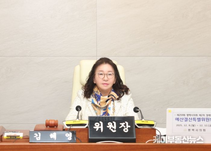 김혜영 예산결산특별위원장
