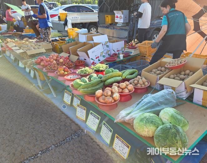 안성시, 2026년 농업인 직거래장터 참여 농가 모집