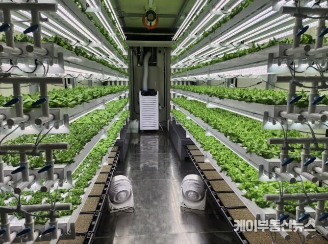 테이너형 수직농장 내부