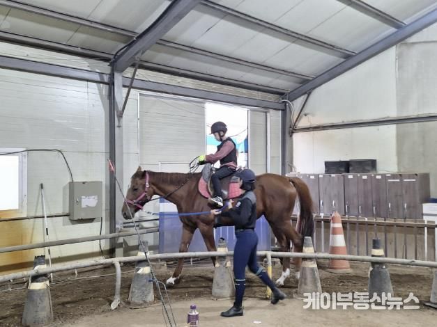 지난해 한 학생이 학생승마체험 지원사업에 참여하고 있다.