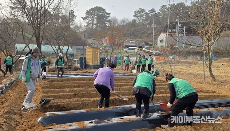 파주 새마을지도자 탄현면 부녀회, 사랑의 감자심기 행사 개최