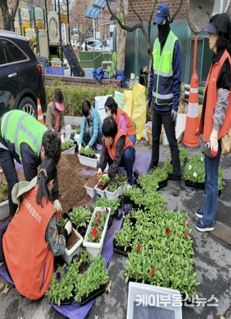 고양시 풍산동, 봄맞이 초화 식재