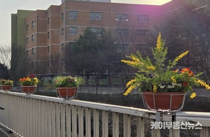 수원시 장안구, 도심 속 봄 정취 더하는 “장안구 봄빛꽃길 조성 프로젝트” 시작